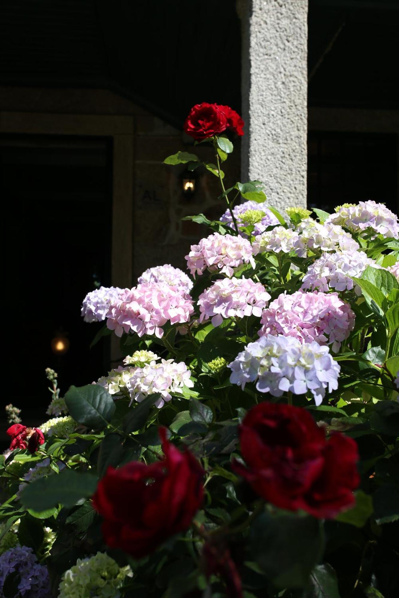 Lugar Da Pedra Alta - B&B - Private Historical Villa Melo 外观 照片
