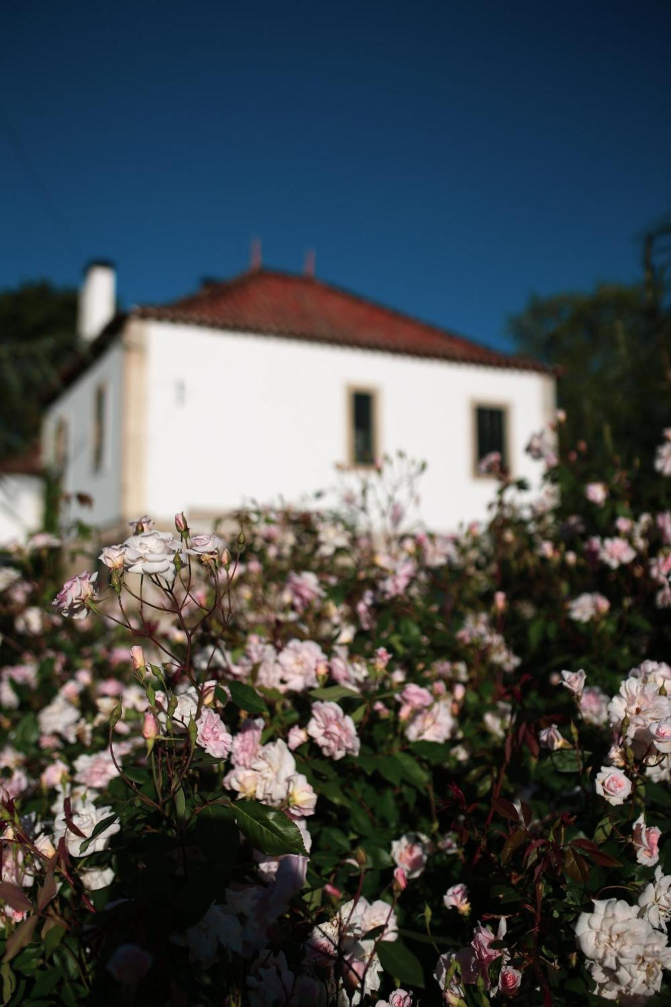 Lugar Da Pedra Alta - B&B - Private Historical Villa Melo 外观 照片