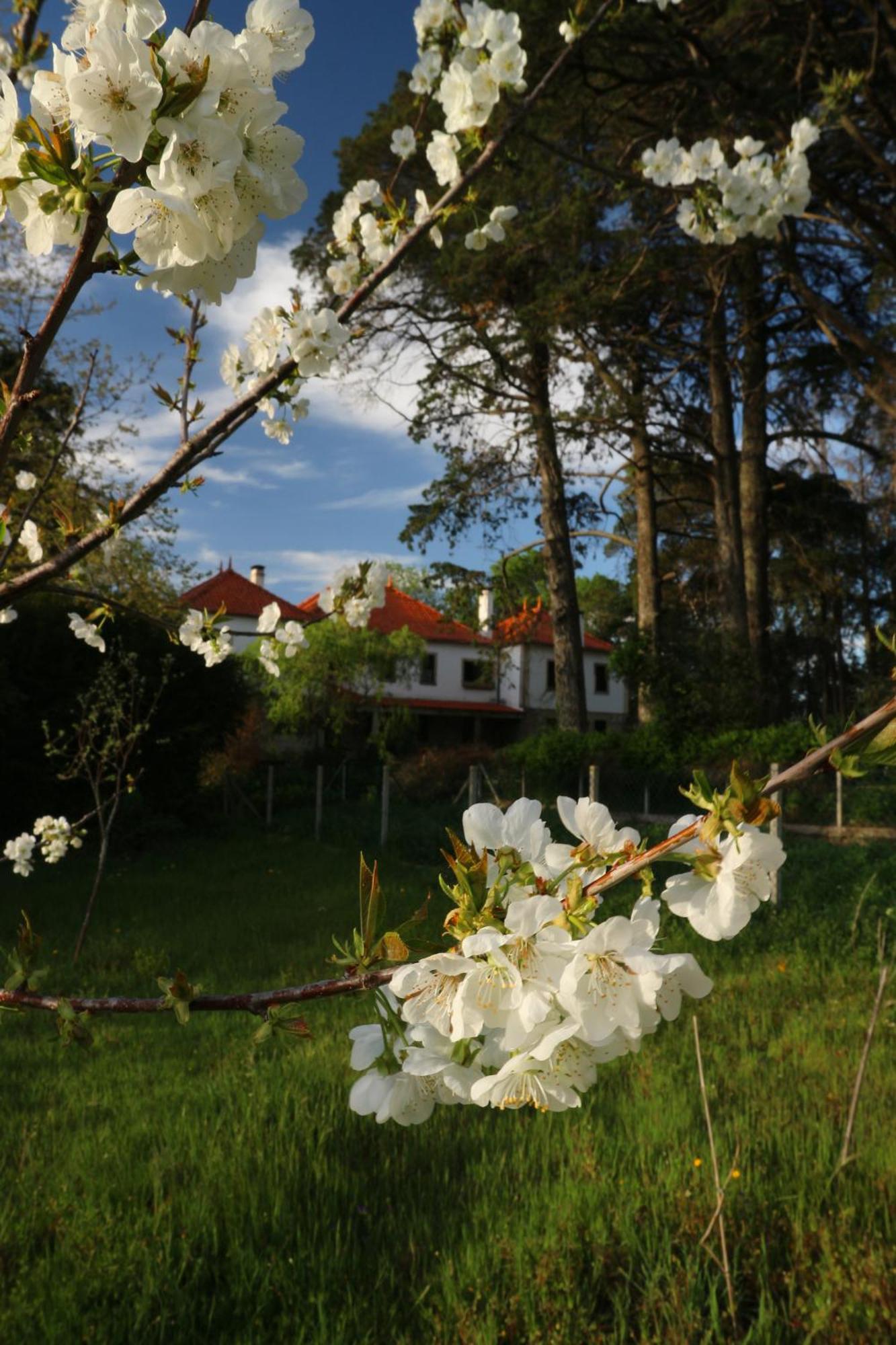Lugar Da Pedra Alta - B&B - Private Historical Villa Melo 外观 照片
